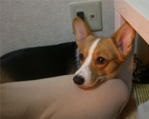 �J�����ڐ��Ȃ�ĂˁE�E�E